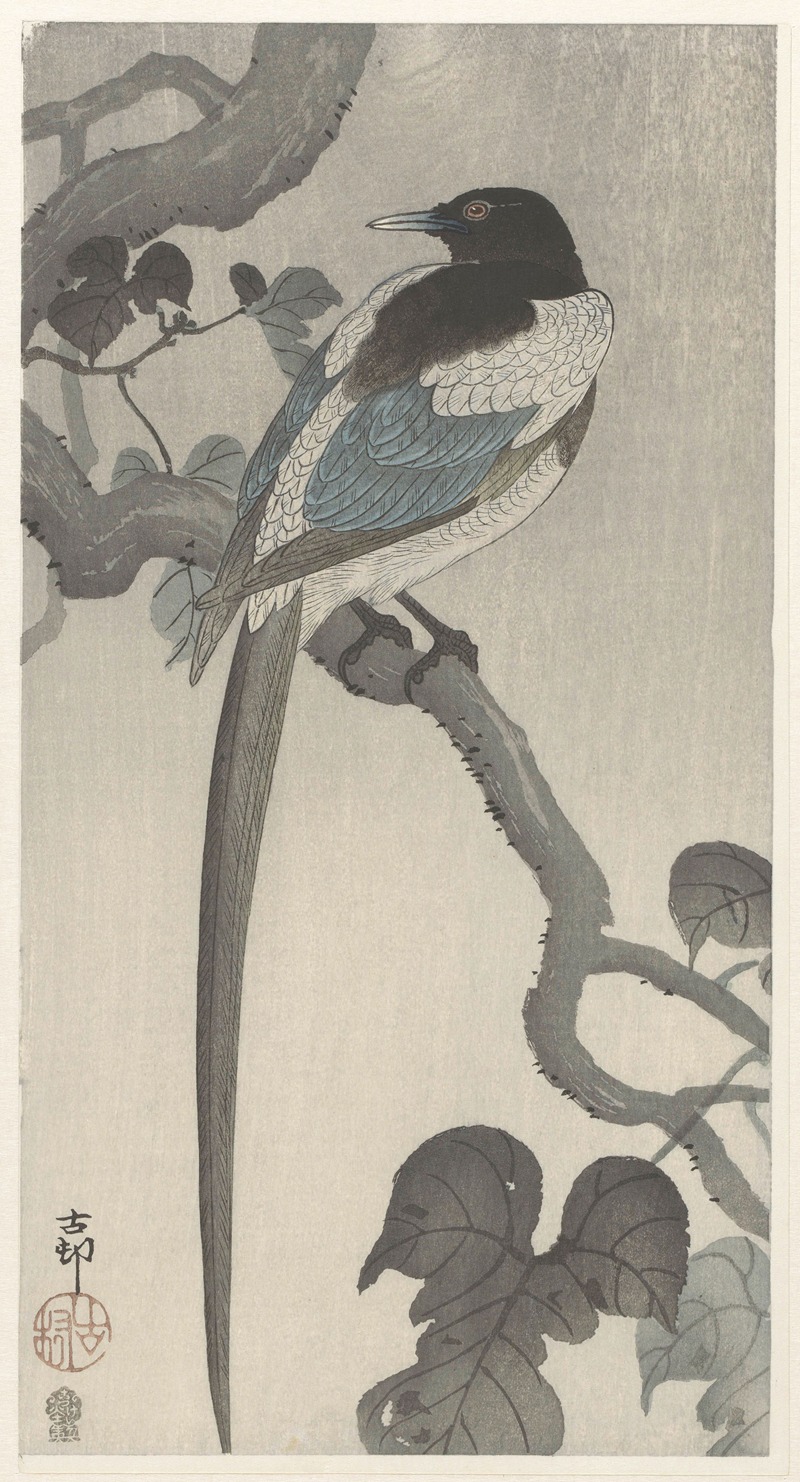 Ohara Koson - Magpie on tree branch