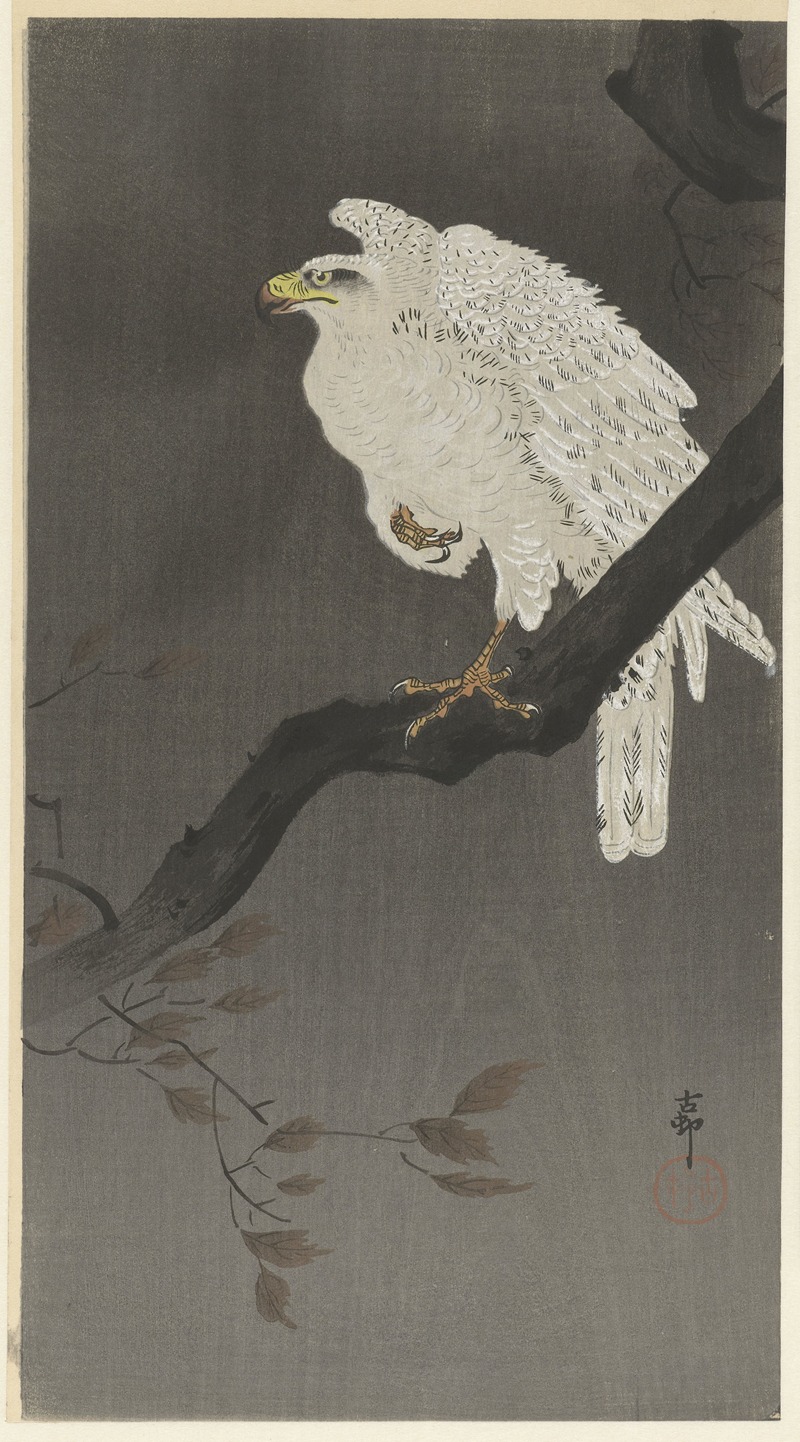Ohara Koson - Snowy eagle on a tree branch