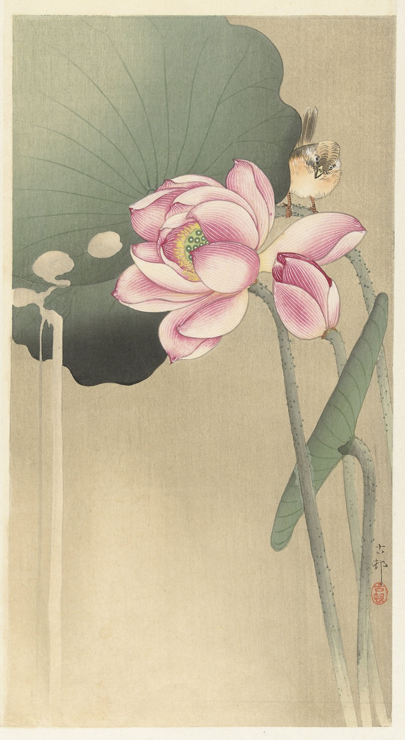 Ohara Koson - Songbird and Lotus