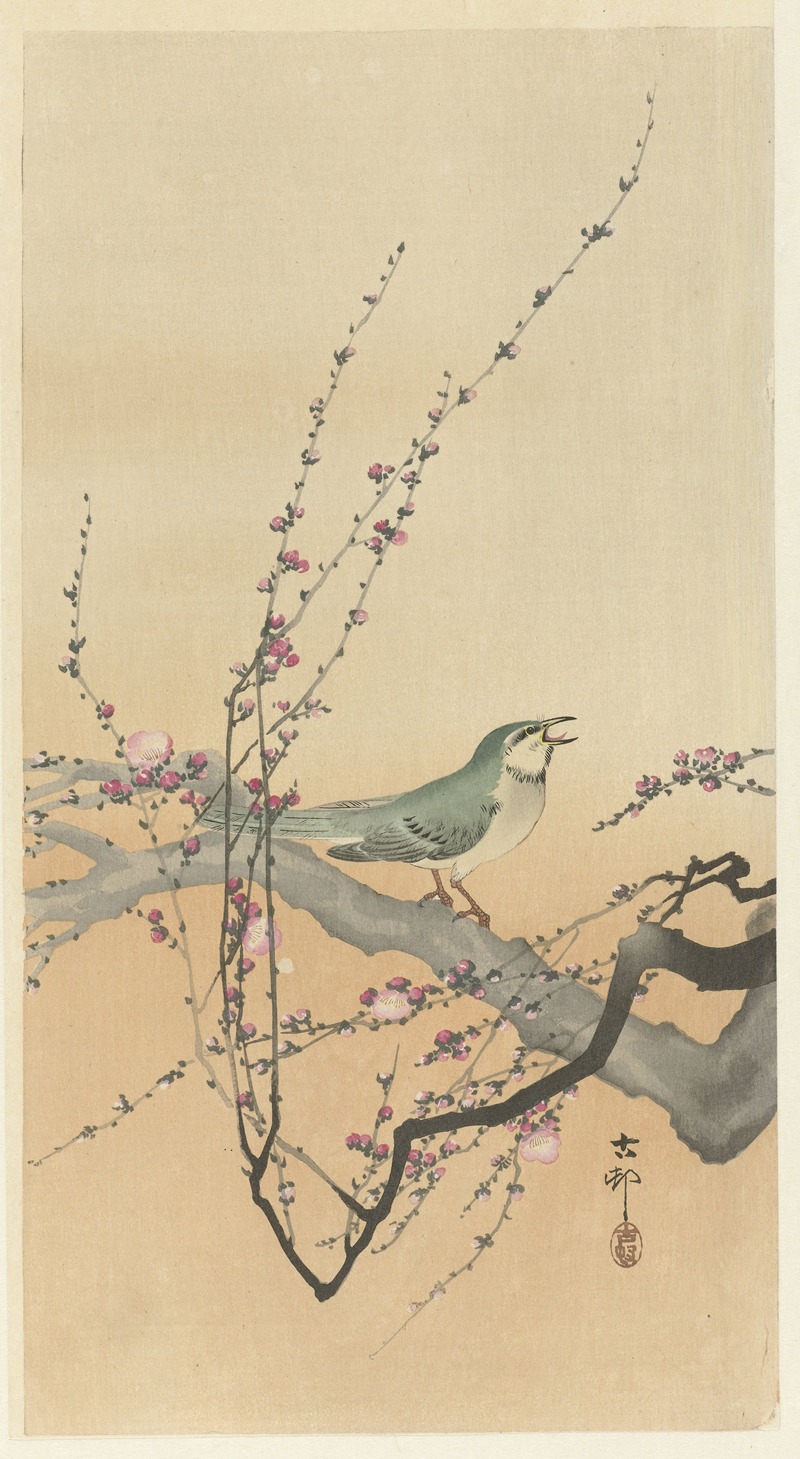 Ohara Koson - Songbird and plum blossom