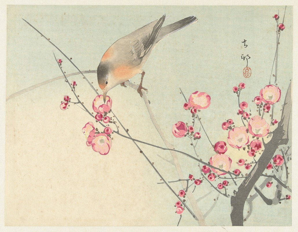 Ohara Koson - Songbird on blossom branch