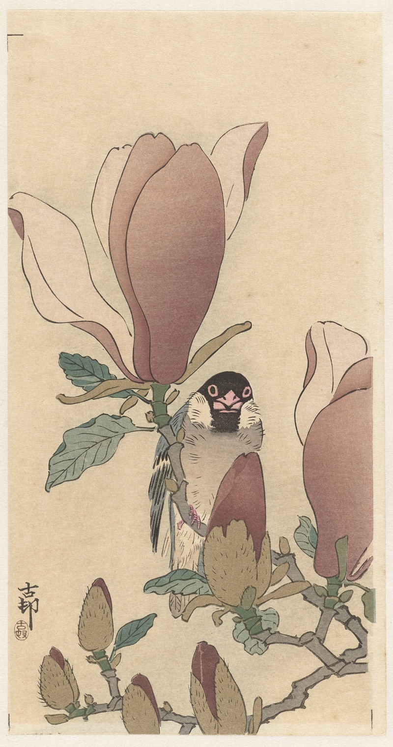 Ohara Koson - Sparrow on blooming magnolia branch