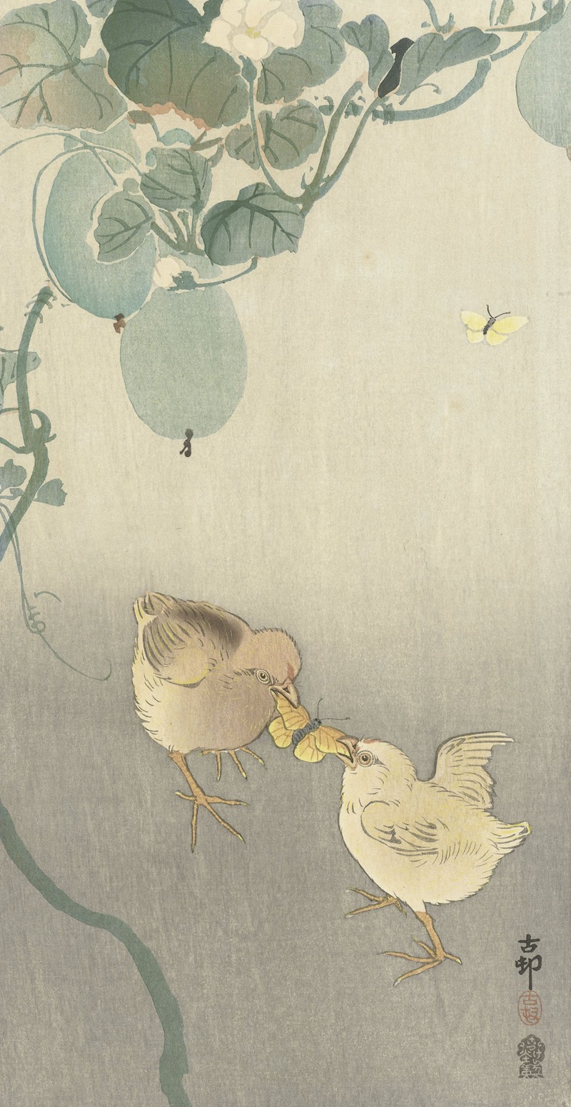 Ohara Koson - Two chicks fighting for butterfly