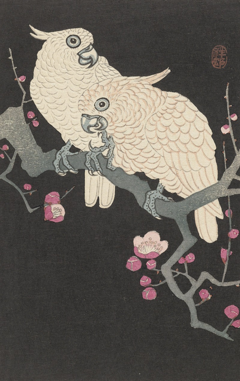 Ohara Koson - Two cockatoo and plum blossom