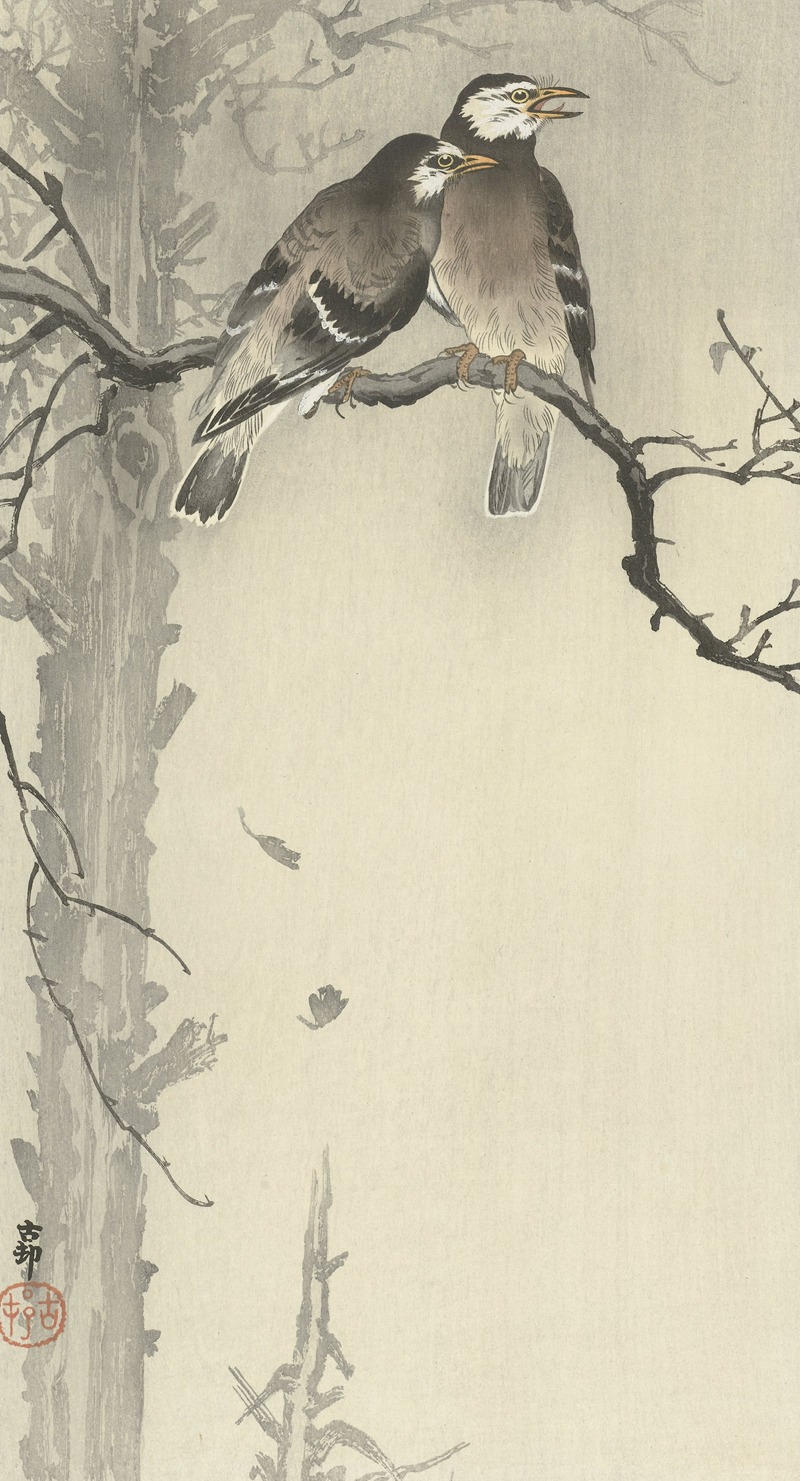 Ohara Koson - Two gray starlings
