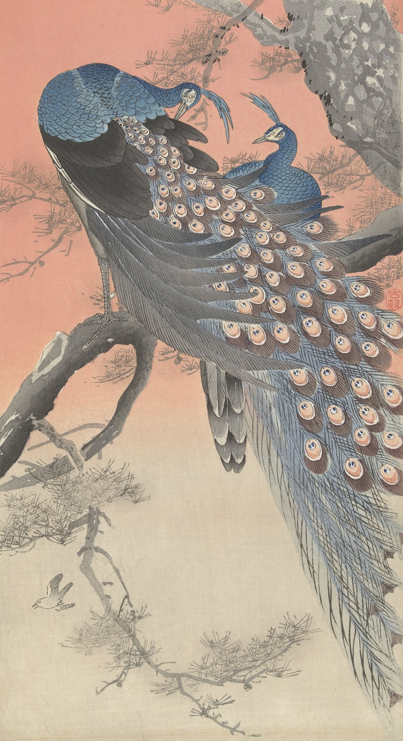 Ohara Koson - Two peacocks on tree branch