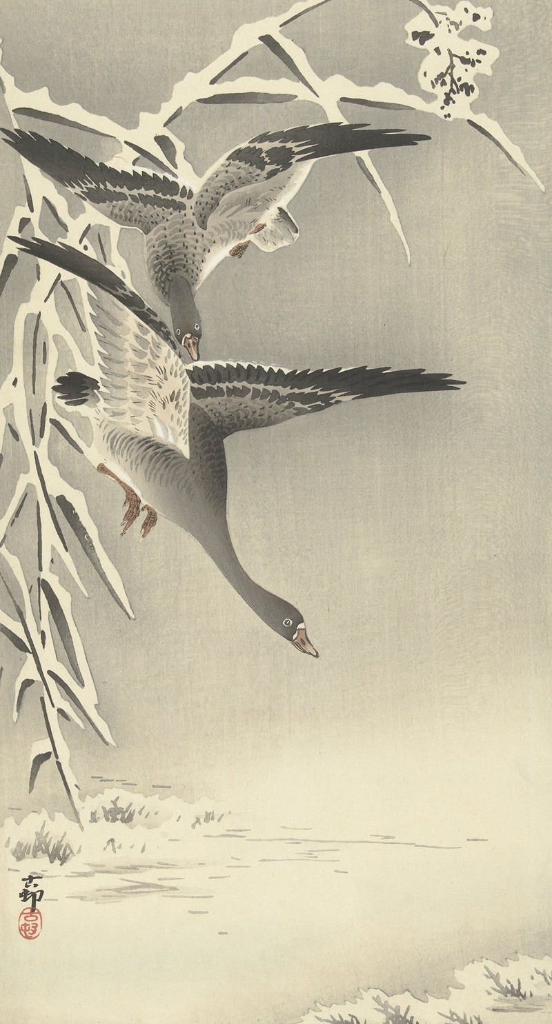 Ohara Koson - Two white-fronted geese in snowy landscape,