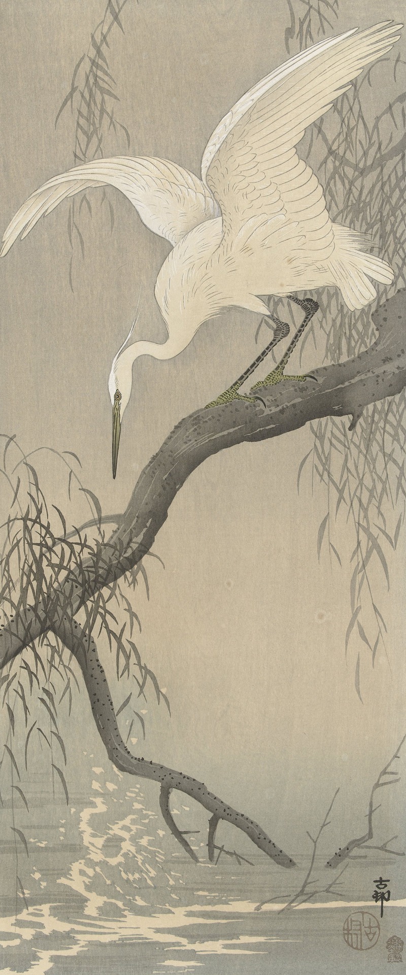 Ohara Koson - White heron on tree branch