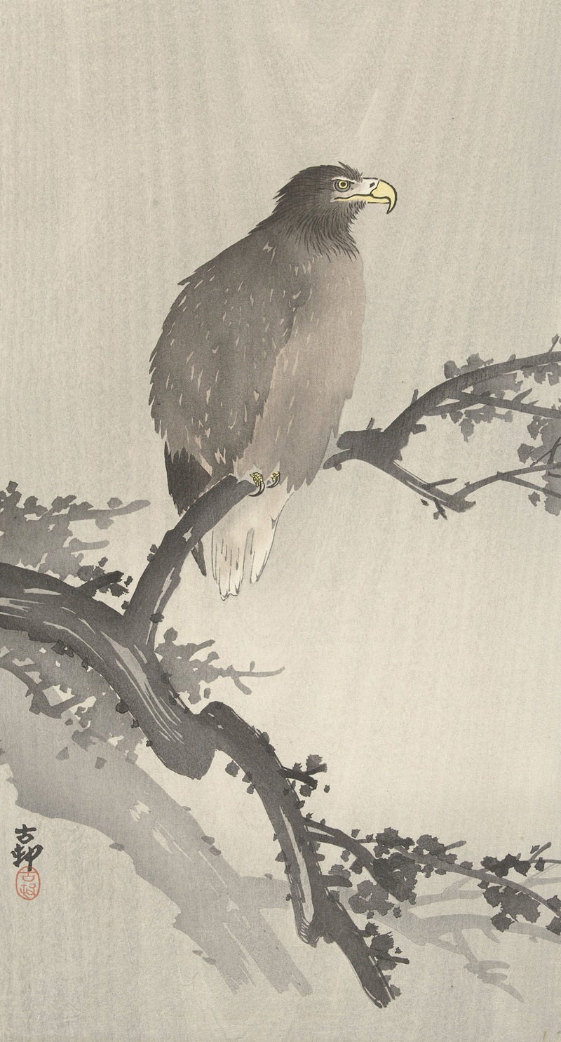 Ohara Koson - White-tailed eagle on branch