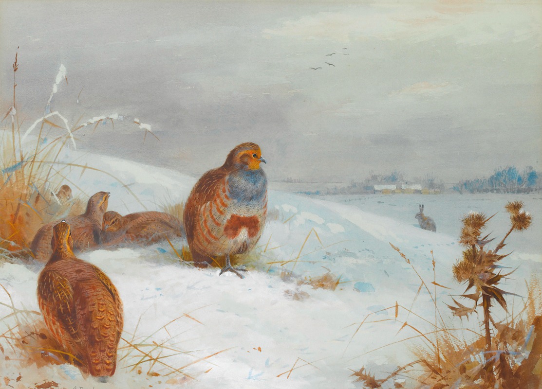 Archibald Thorburn - Hard Times – Partridges And A Hare