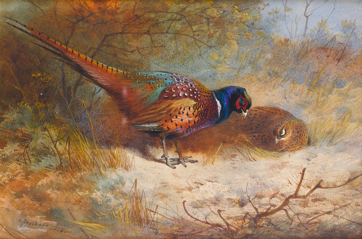 Archibald Thorburn - Pheasants