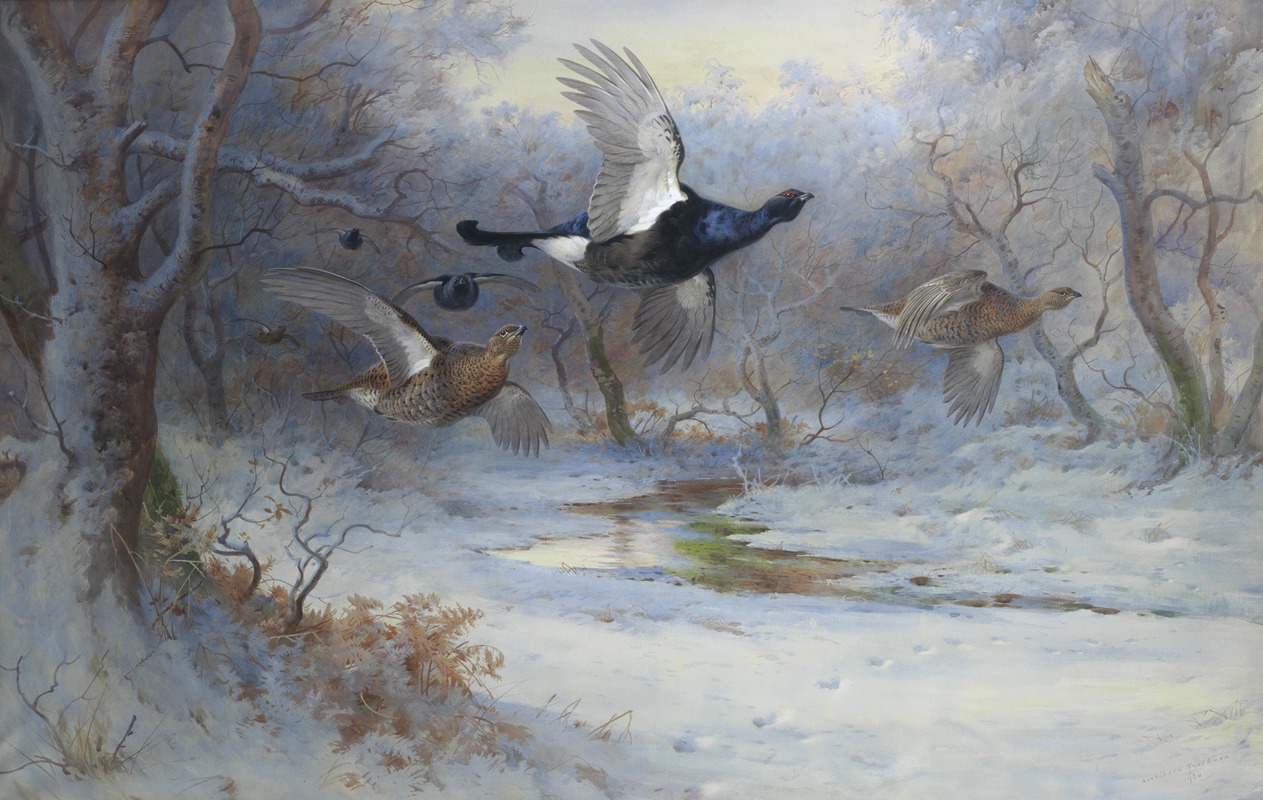 Archibald Thorburn - Blackcock And Grouse In Flight – Winter