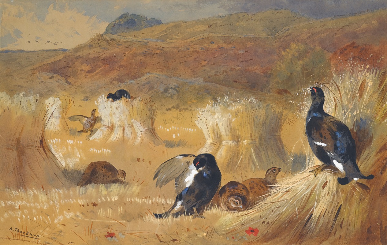Archibald Thorburn - Blackcock In A Field
