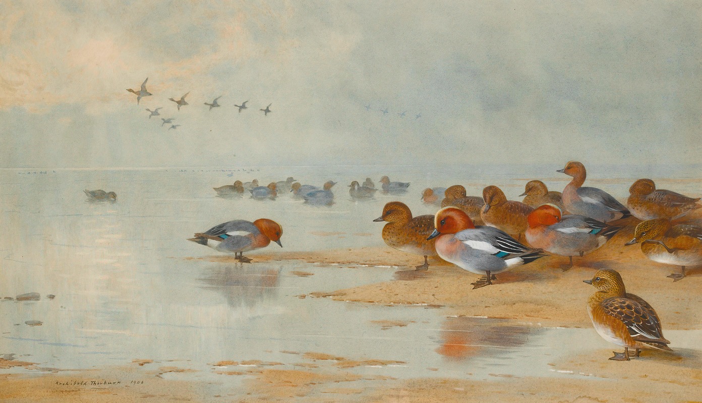 Archibald Thorburn - Wigeon And Teal By The Water’s Edge