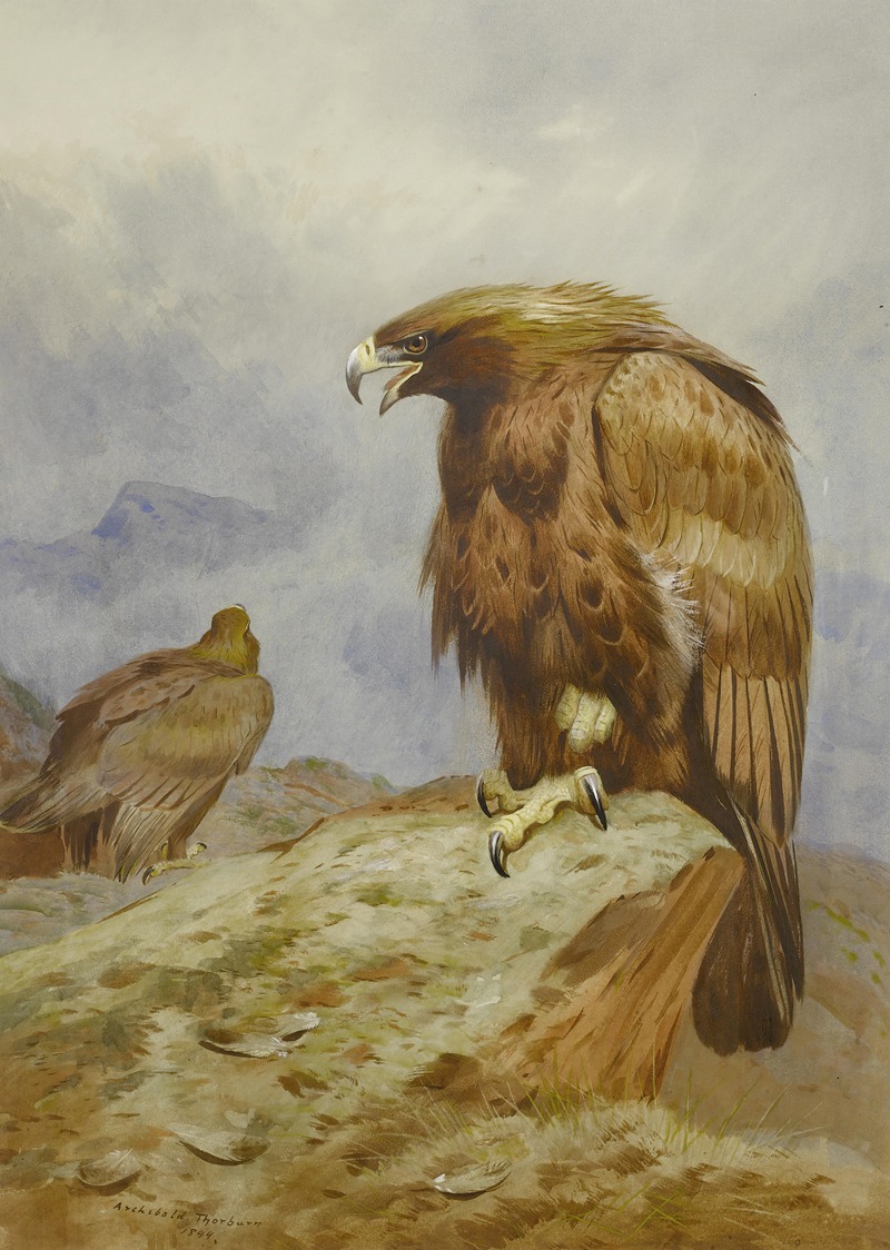 Archibald Thorburn - A Pair Of Golden Eagles