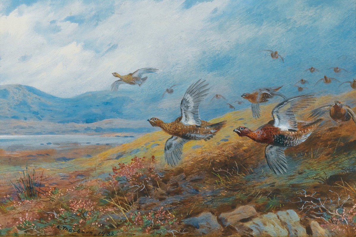Archibald Thorburn - Driven Grouse