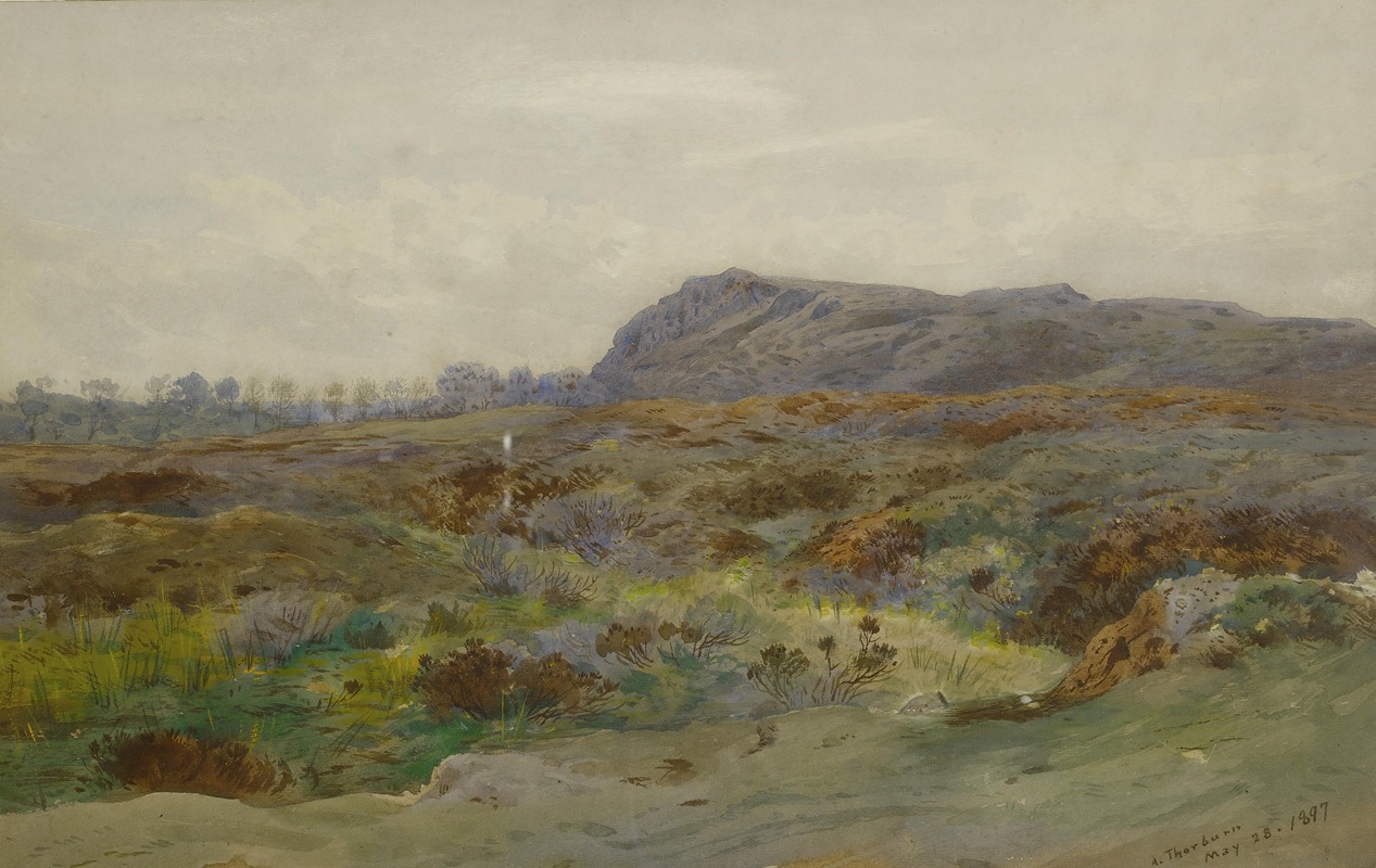 Archibald Thorburn - Moorland Landscape