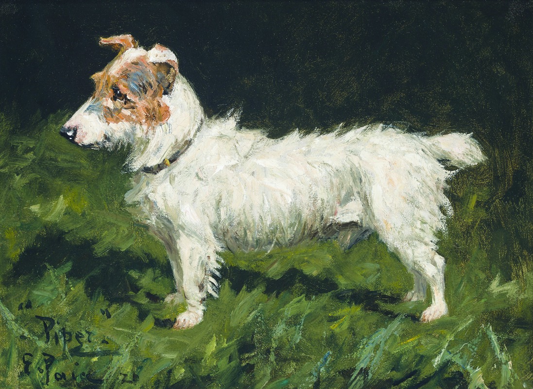 George Paice - Piper, A Jack Russell Terrier