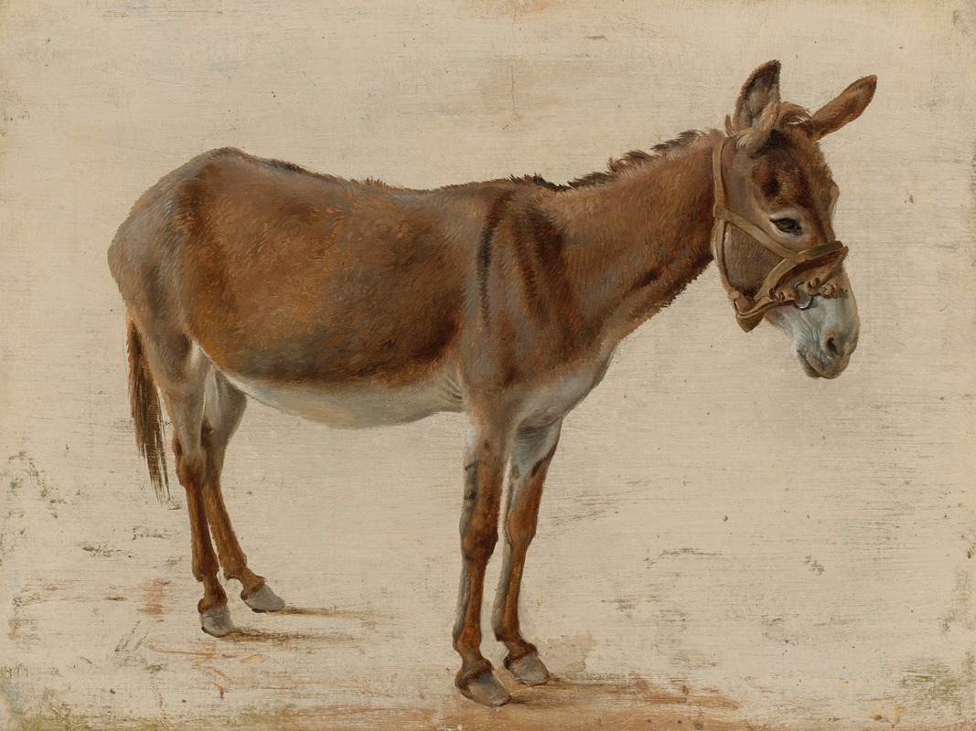 Jacques-Laurent Agasse - A Donkey