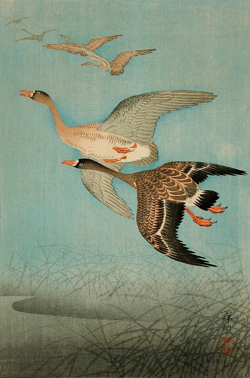 Ohara Koson - Flying Geese
