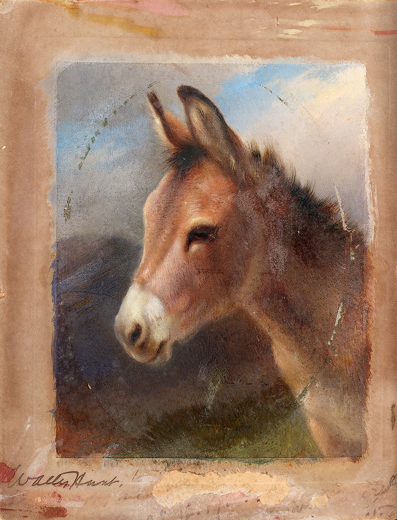 Walter Hunt - Head Study Of A Donkey