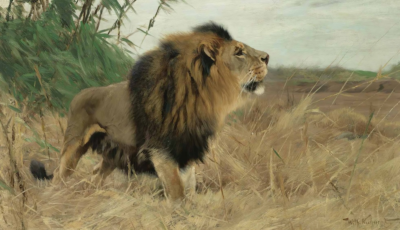 Wilhelm Kuhnert - Beberlöwe (Berber Lion)