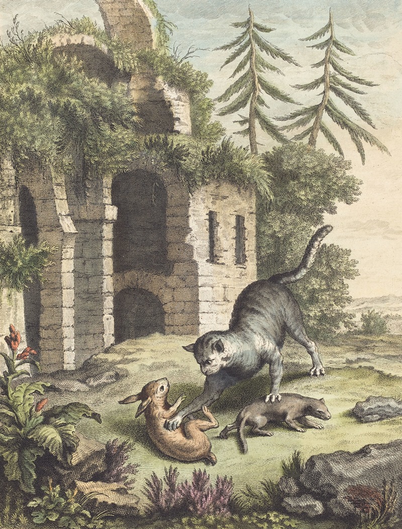 Martin Marvie - Le chat, la balette et le petit lapin (The Cat, the Weasel, and the Rabbit)
