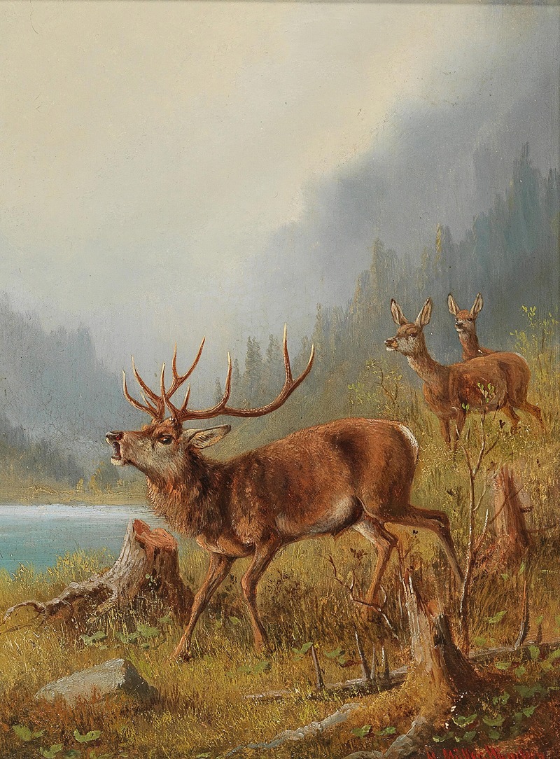 Moritz Müller - A Bellowing Stag