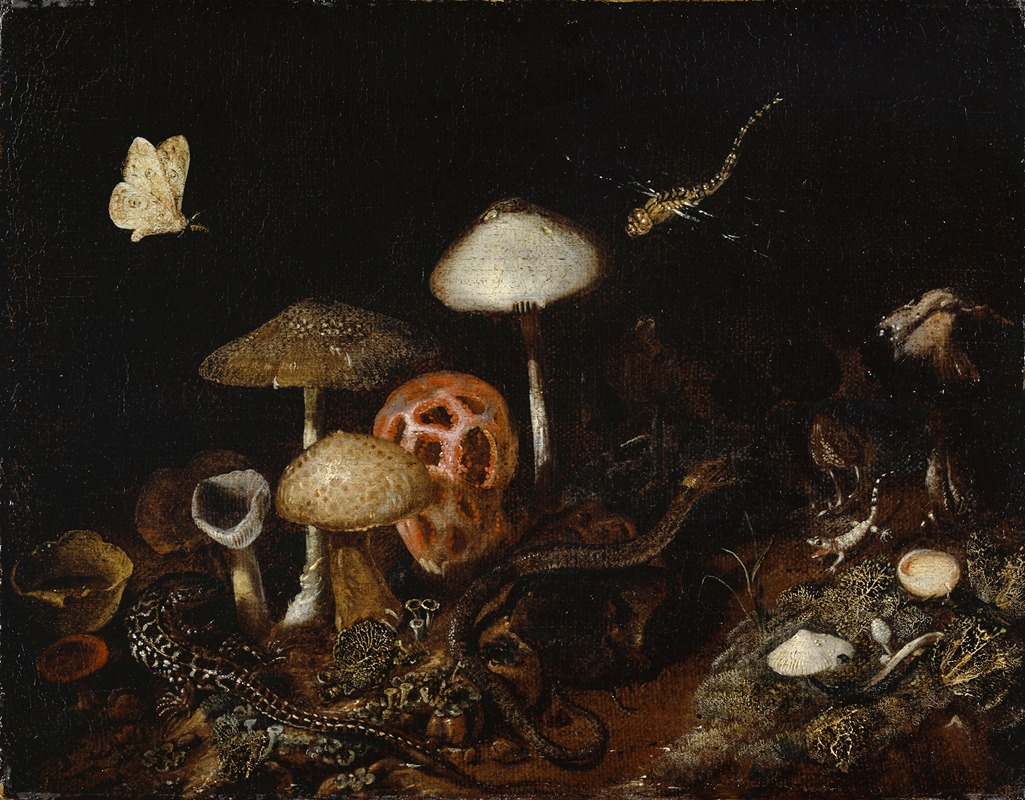 Otto Marseus van Schrieck - Reptiles, Mushrooms and Butterflies
