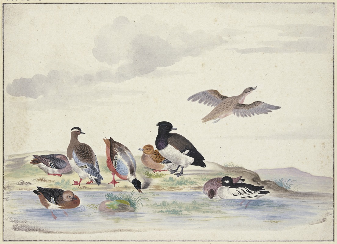 Pieter Holsteijn - Acht Enten verschiedener Art am Wasser