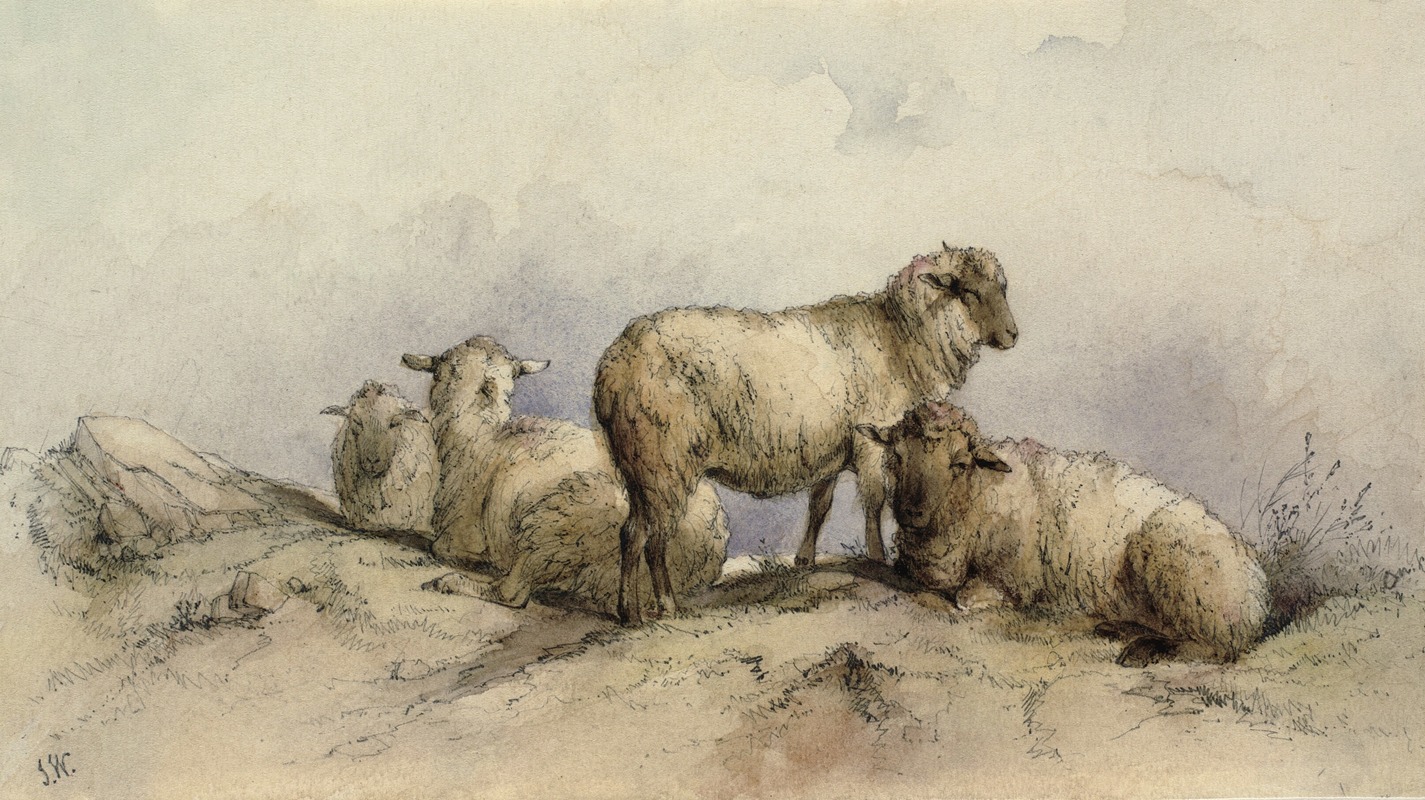 Anonymous - Sheep in a landscape