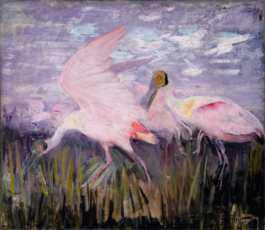 Abbott Handerson Thayer - Roseate Spoonbills, study for book Concealing Coloration in the Animal Kingdom