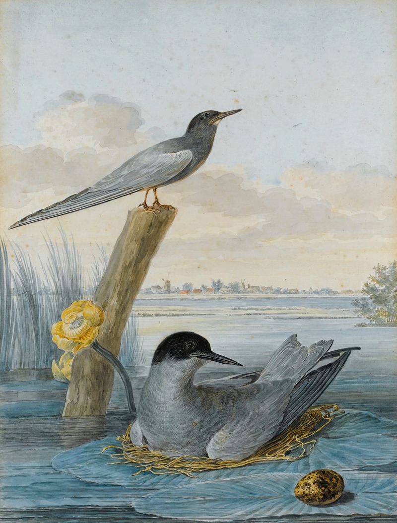 Aert Schouman - A Pair Of Black Terns With Nest And Egg In A River Landscape