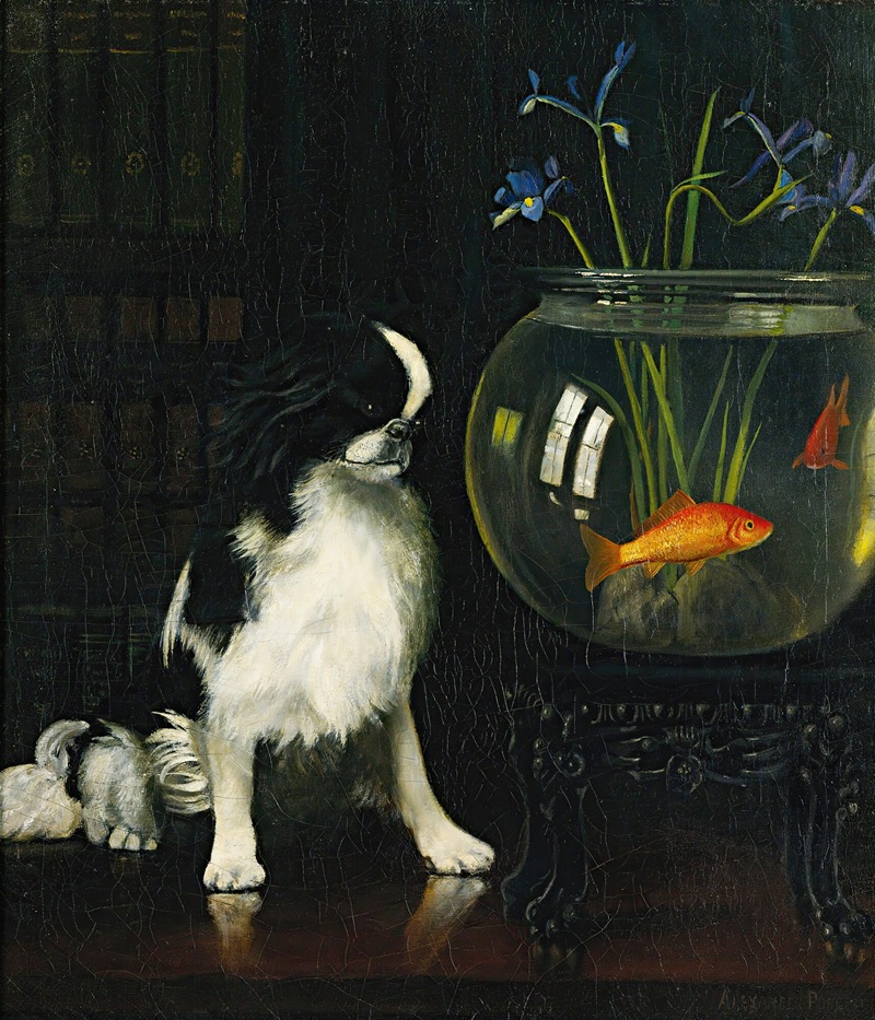 Alexander Pope Jr. - Japanese Chin And Goldfish