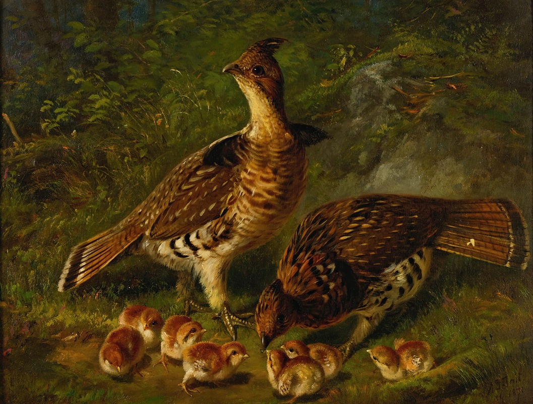 Arthur Fitzwilliam Tait - Pair Ruffed Grouse And Young