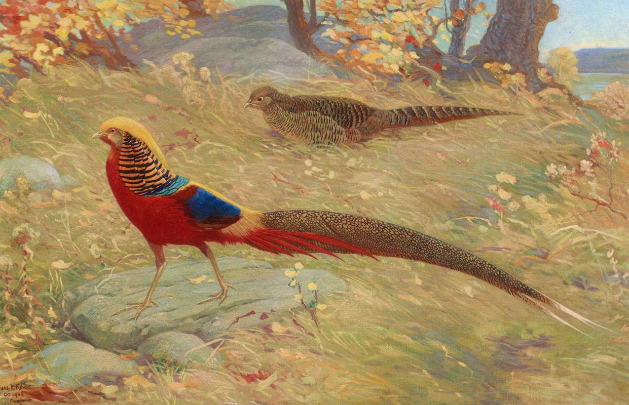 Charles Robert Knight - Golden Pheasant