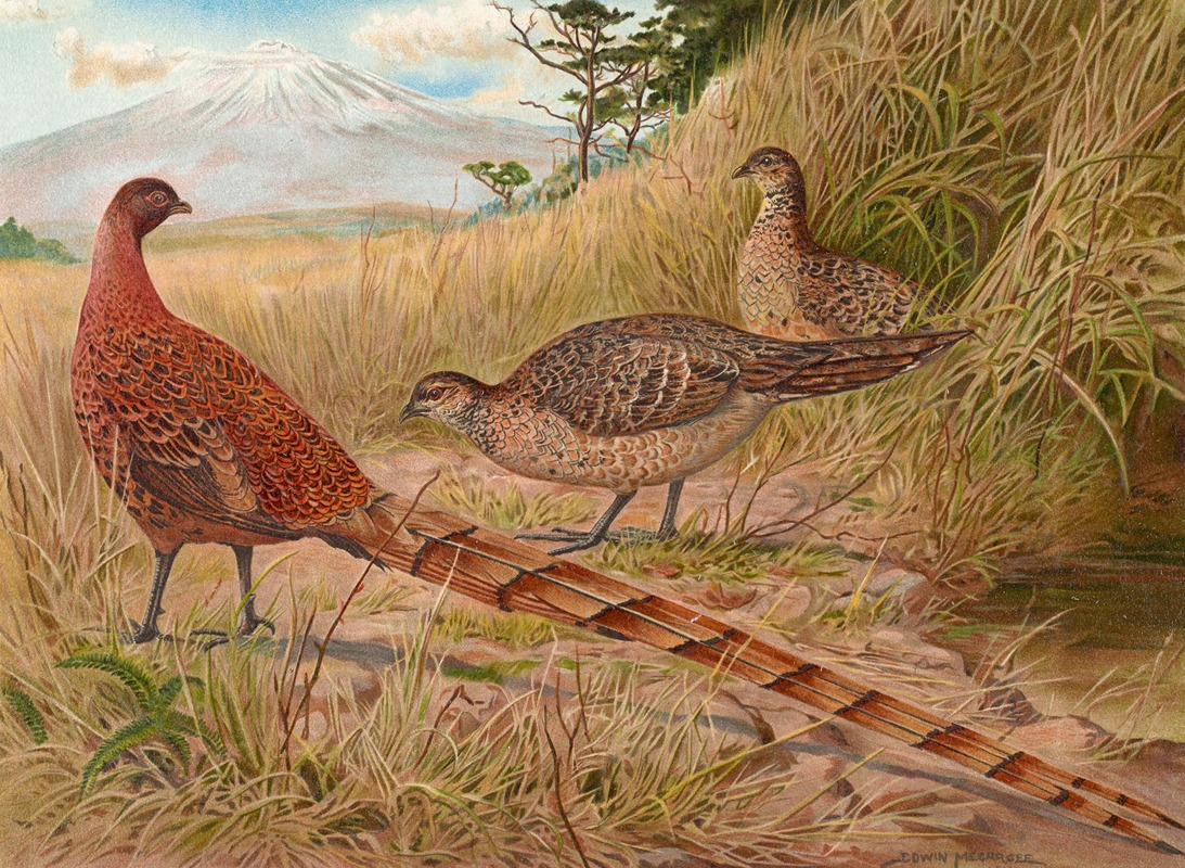 Edwin Megargee - Soemmerring’s Copper Pheasant