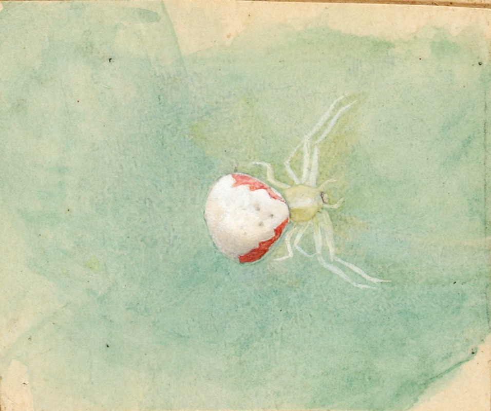Emma Beach Thayer - Porcelain-White Spider