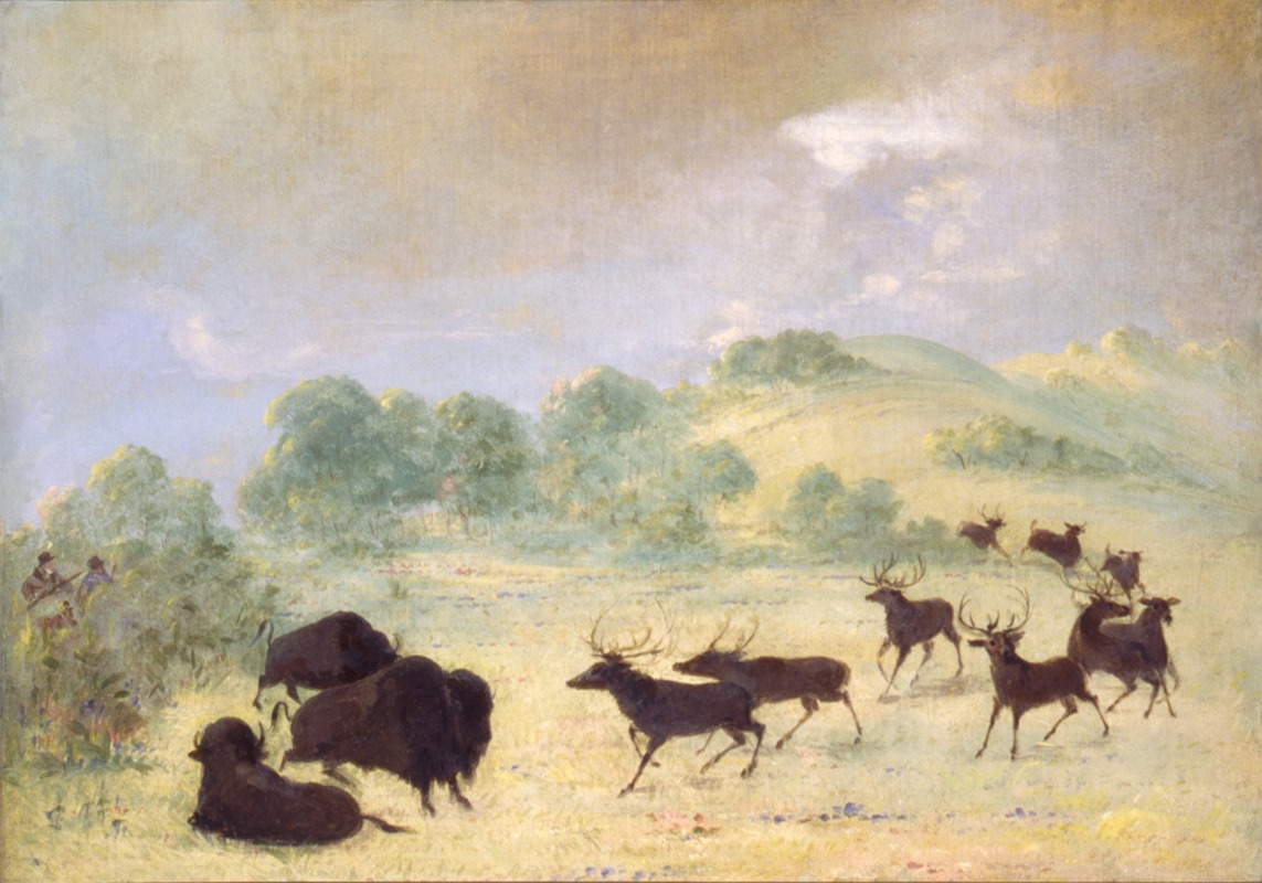 George Catlin - Elk and Buffalo Making Acquaintance, Texas