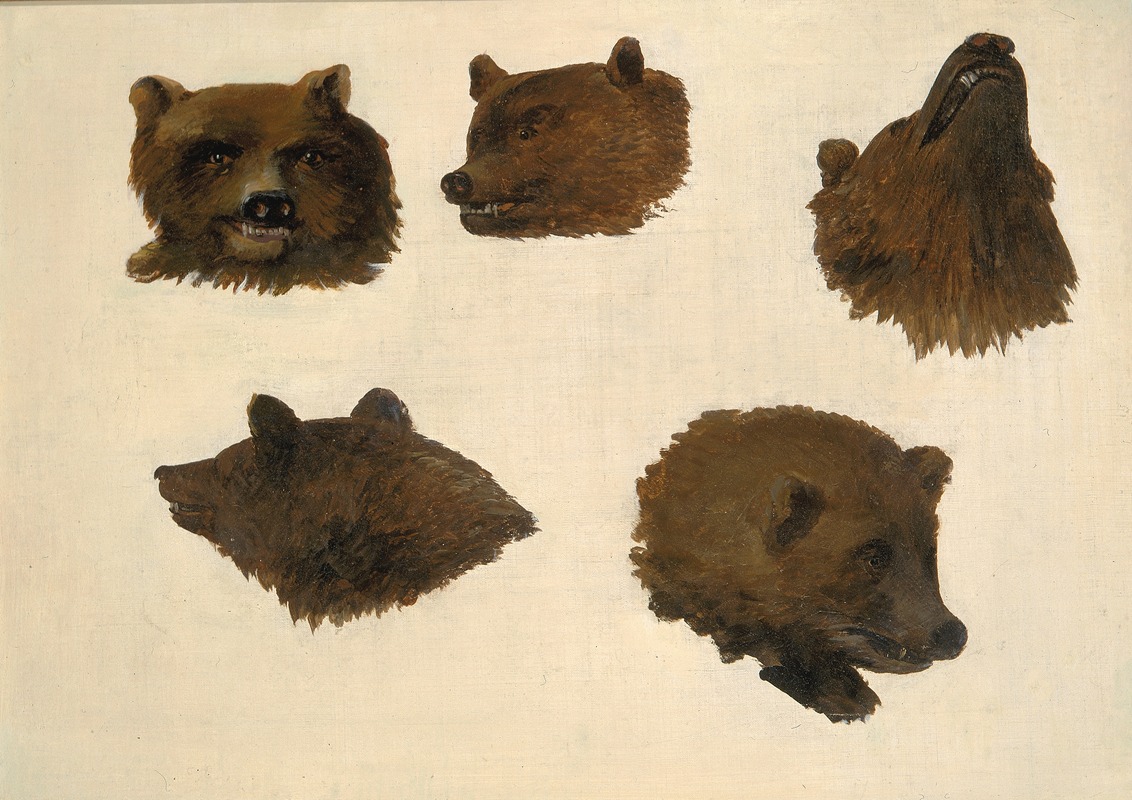George Catlin - Portraits of Two Grizzly Bears, From Life