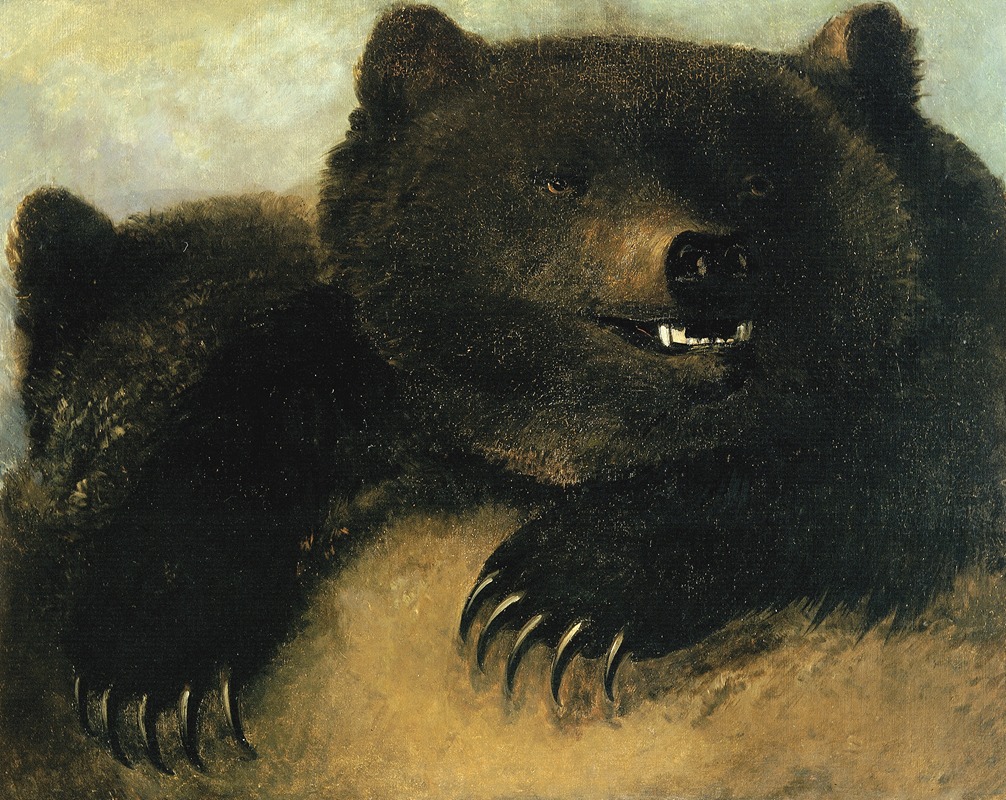 George Catlin - Weapons and Physiognomy of the Grizzly Bear