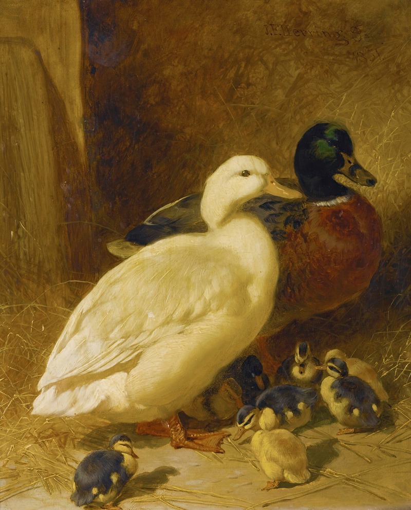 John Frederick Herring Snr. - Ducks And Ducklings