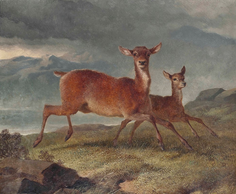 John Frederick Herring Snr. - Red hind and calf