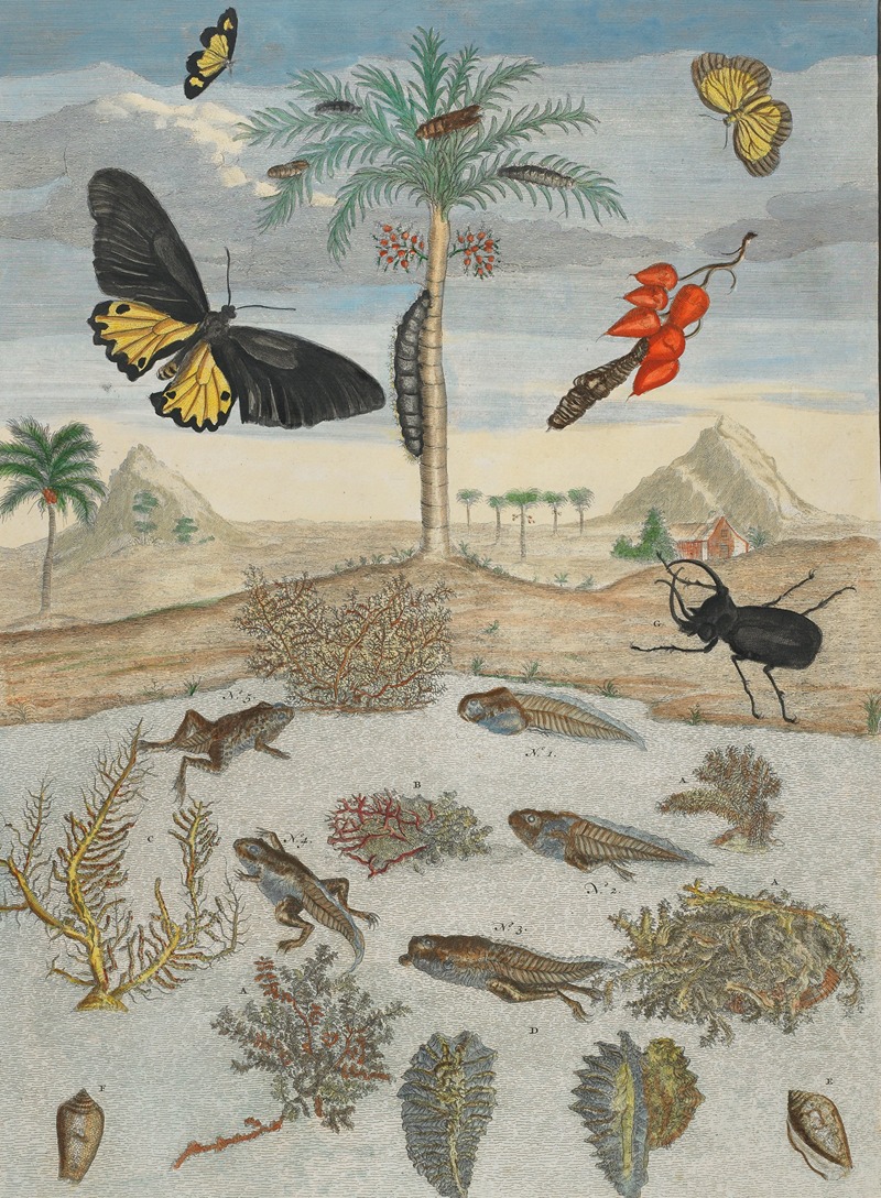 Maria Sibylla Merian - Insects and Fish with Island Background