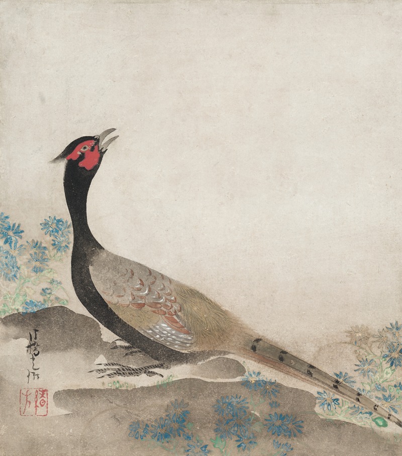 Ogata Kōrin - Pheasant