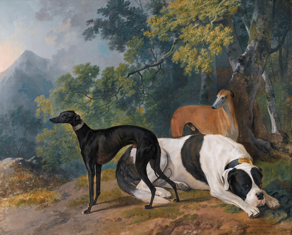 Sawrey Gilpin - Two Greyhounds And A Mastif Belonging To The Duke Of Hamilton