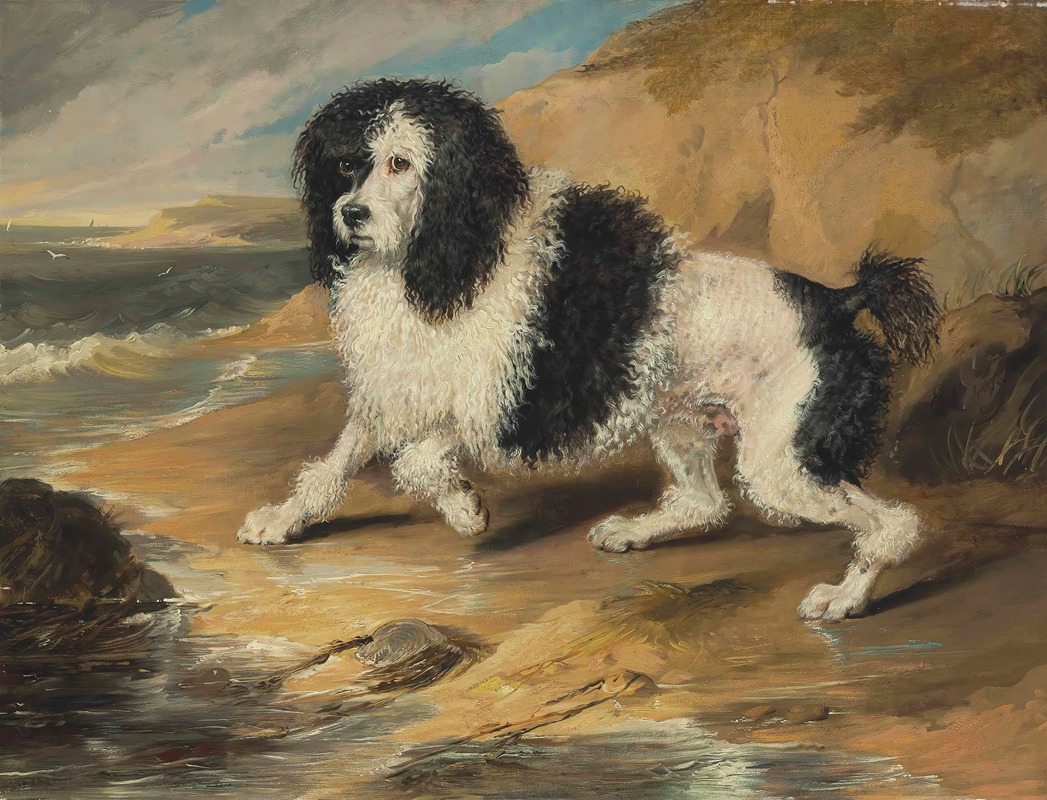 Sir Edwin Henry Landseer - Tapageur, the Poodle belonging to the Honorable Frederick Byng