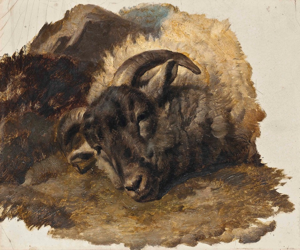 Thomas Sidney Cooper - Study Of A Ram’s Head