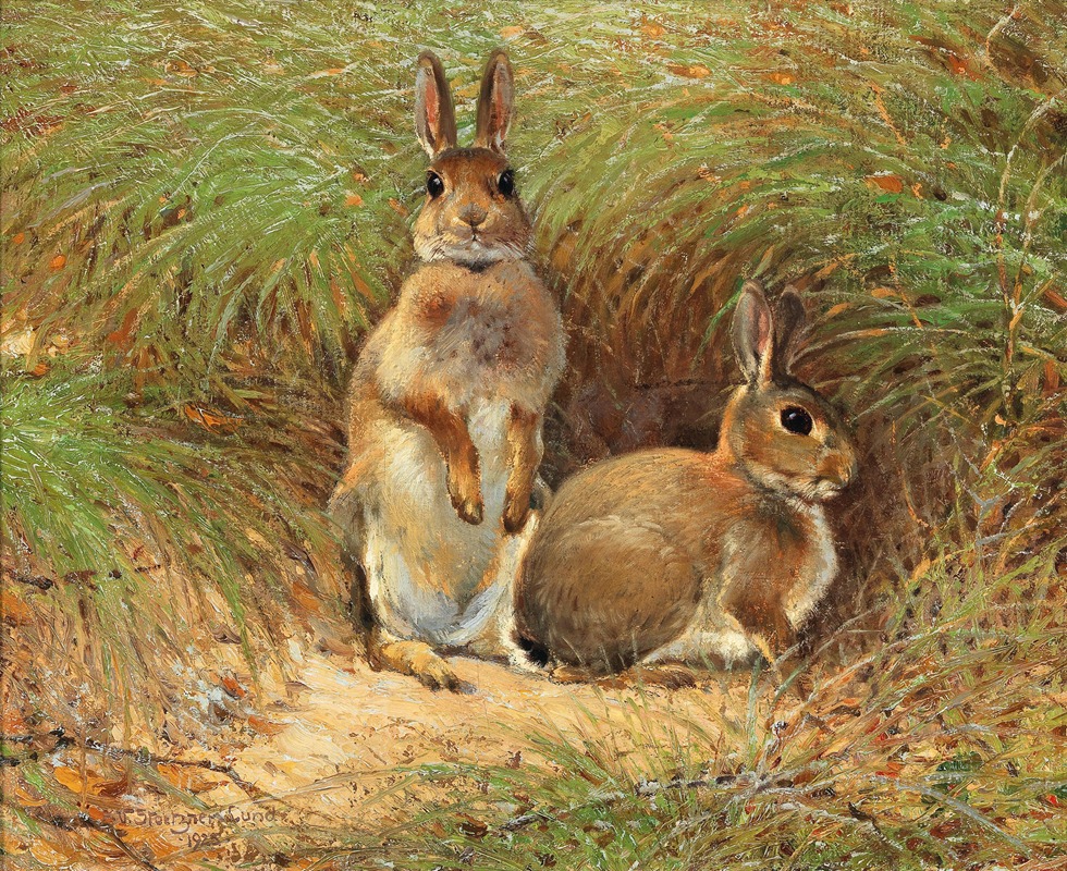 Victor Stoetzner-Lund - Rabbits
