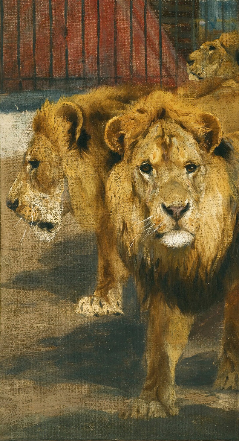 Wilhelm Kuhnert - Lions